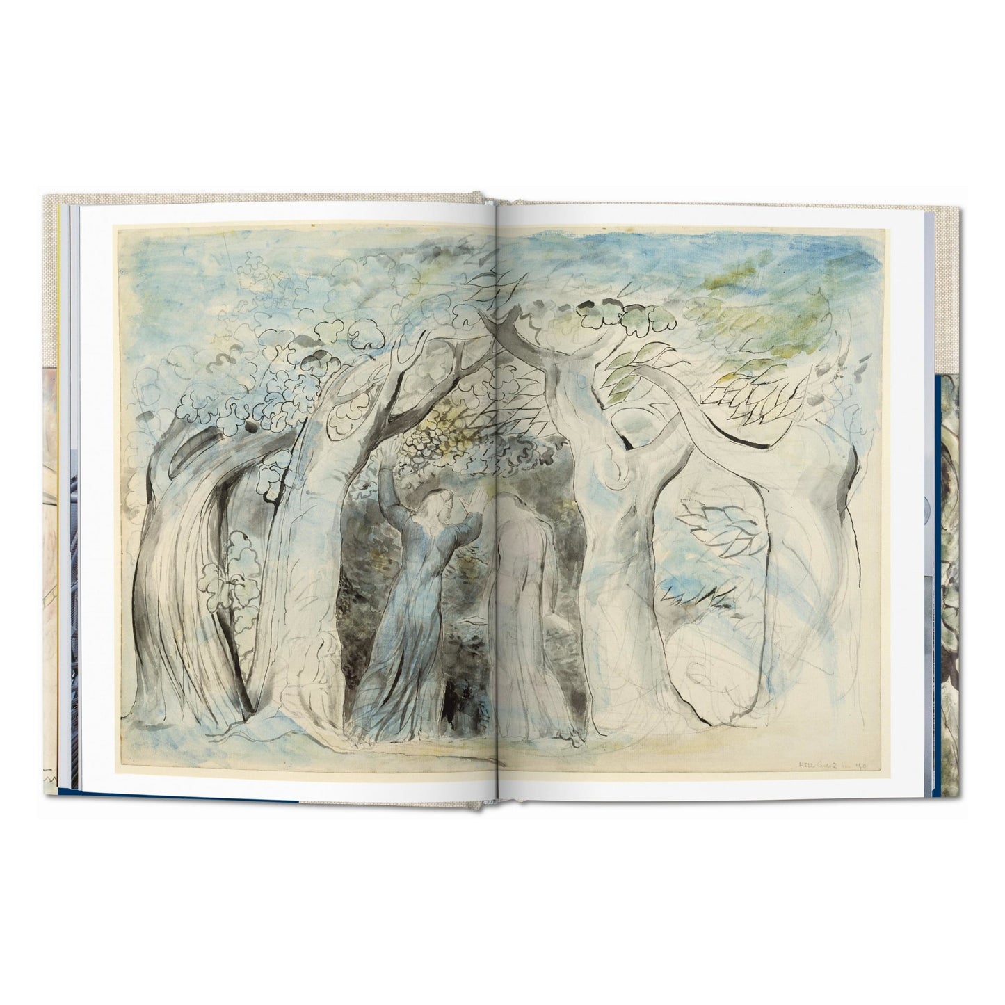 William Blake. Dantes Göttliche Komödie. Sämtliche Zeichnungen (German)