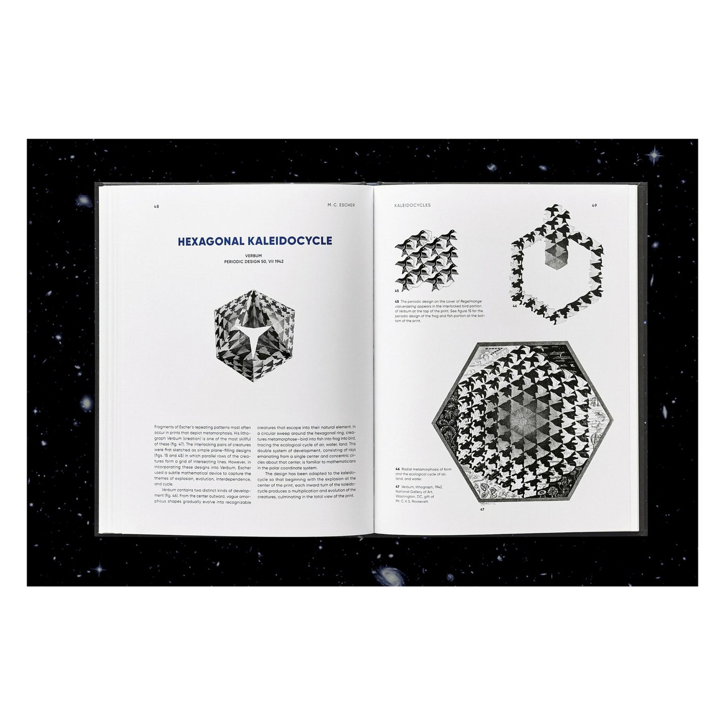 M.C. Escher. Kaleidozyklen (German)