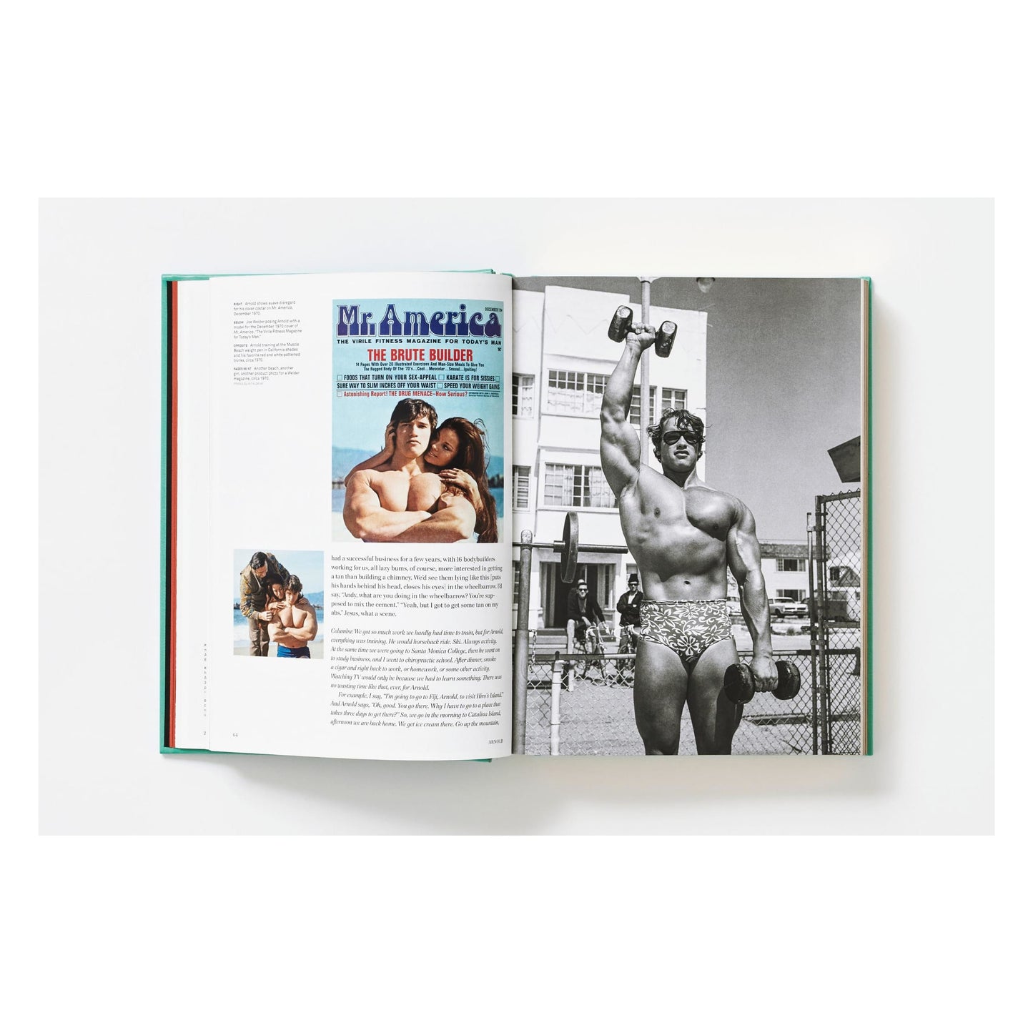 ARNOLD. Capitello Edition (English)