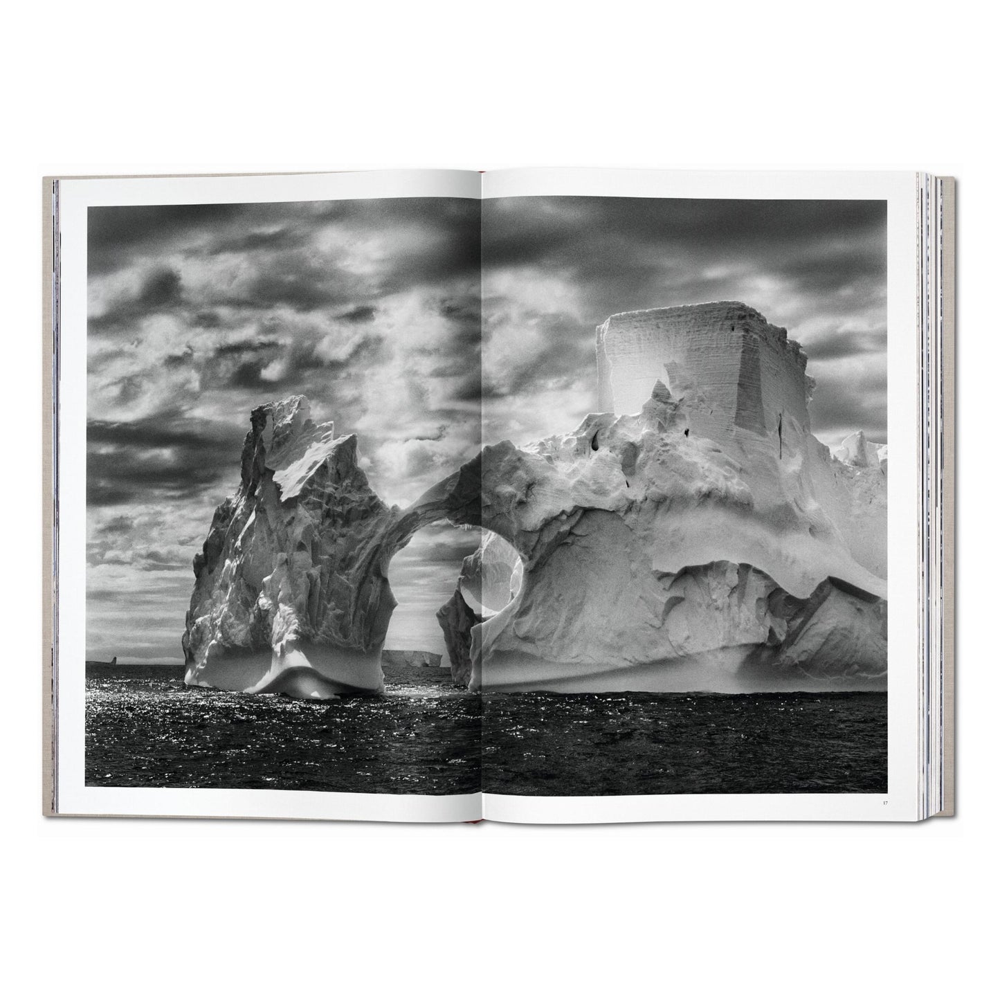 Sebastião Salgado. Genesis (English) (AP)
