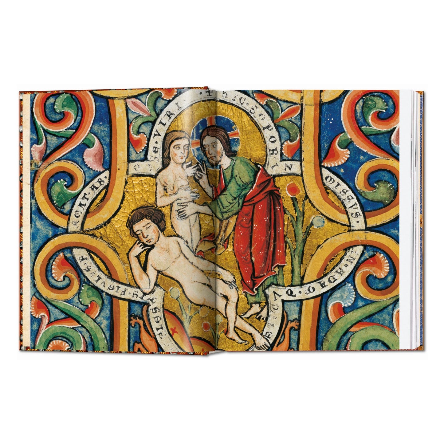 ll libro delle Bibbie. 40th Ed. (Italian)