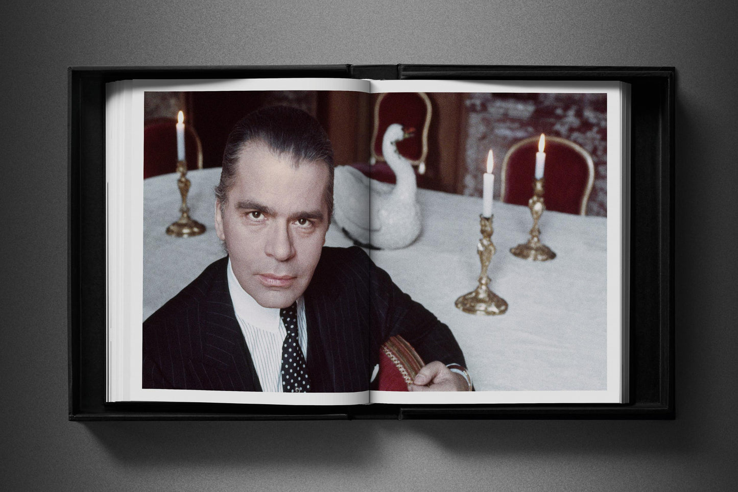 Bailey, 1980s Fashion, Art A, Yves Saint Laurent (English) (AP)