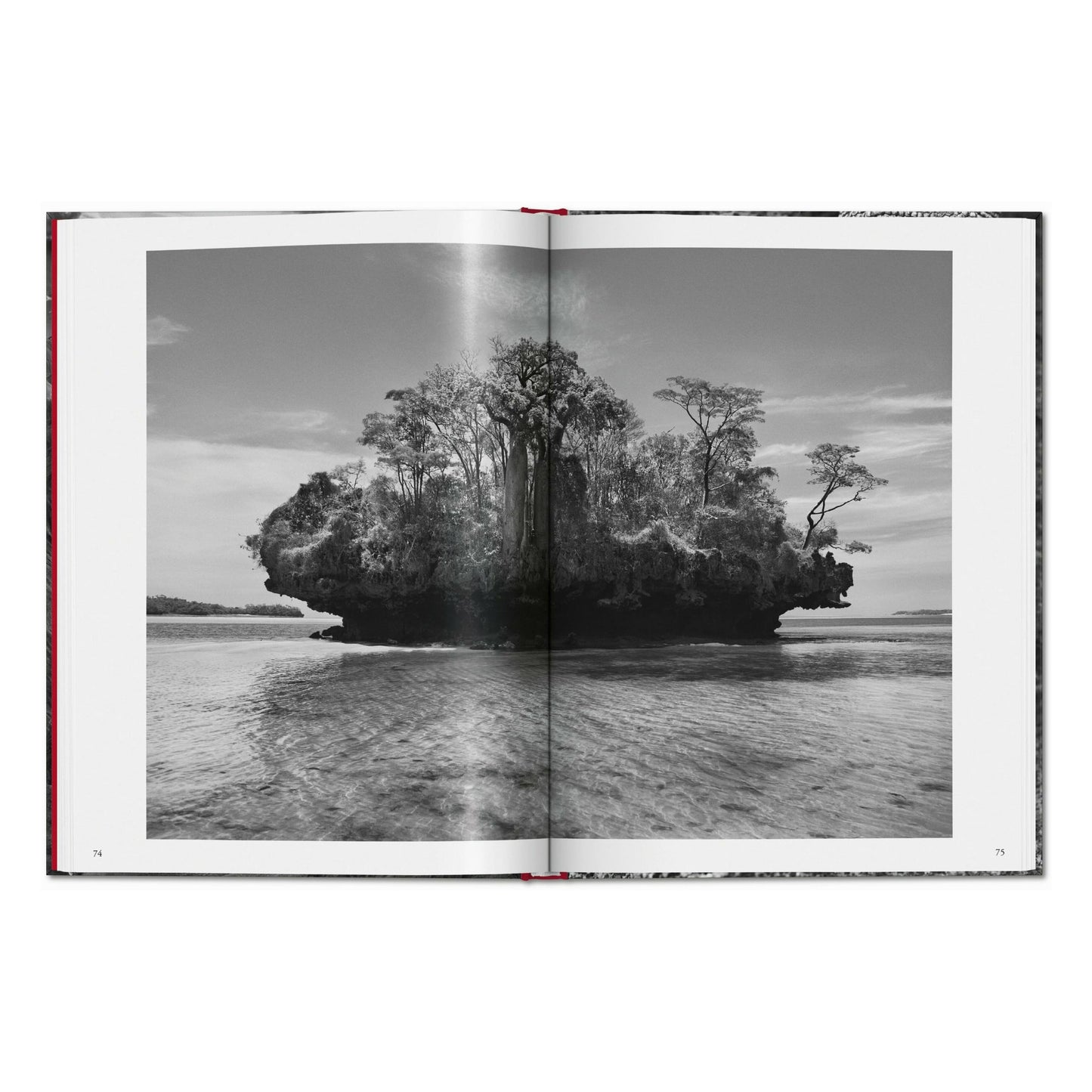 Sebastião Salgado. Genesi (Italian)
