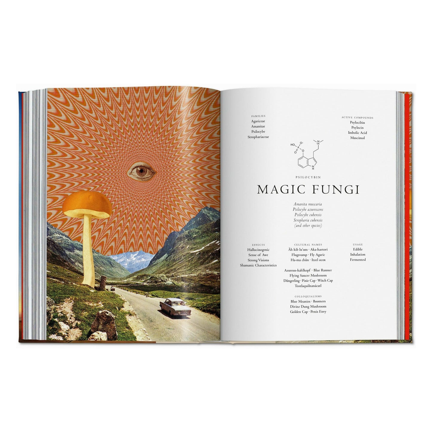 Pflanzen-Magie. Bibliothek der Esoterik (German)