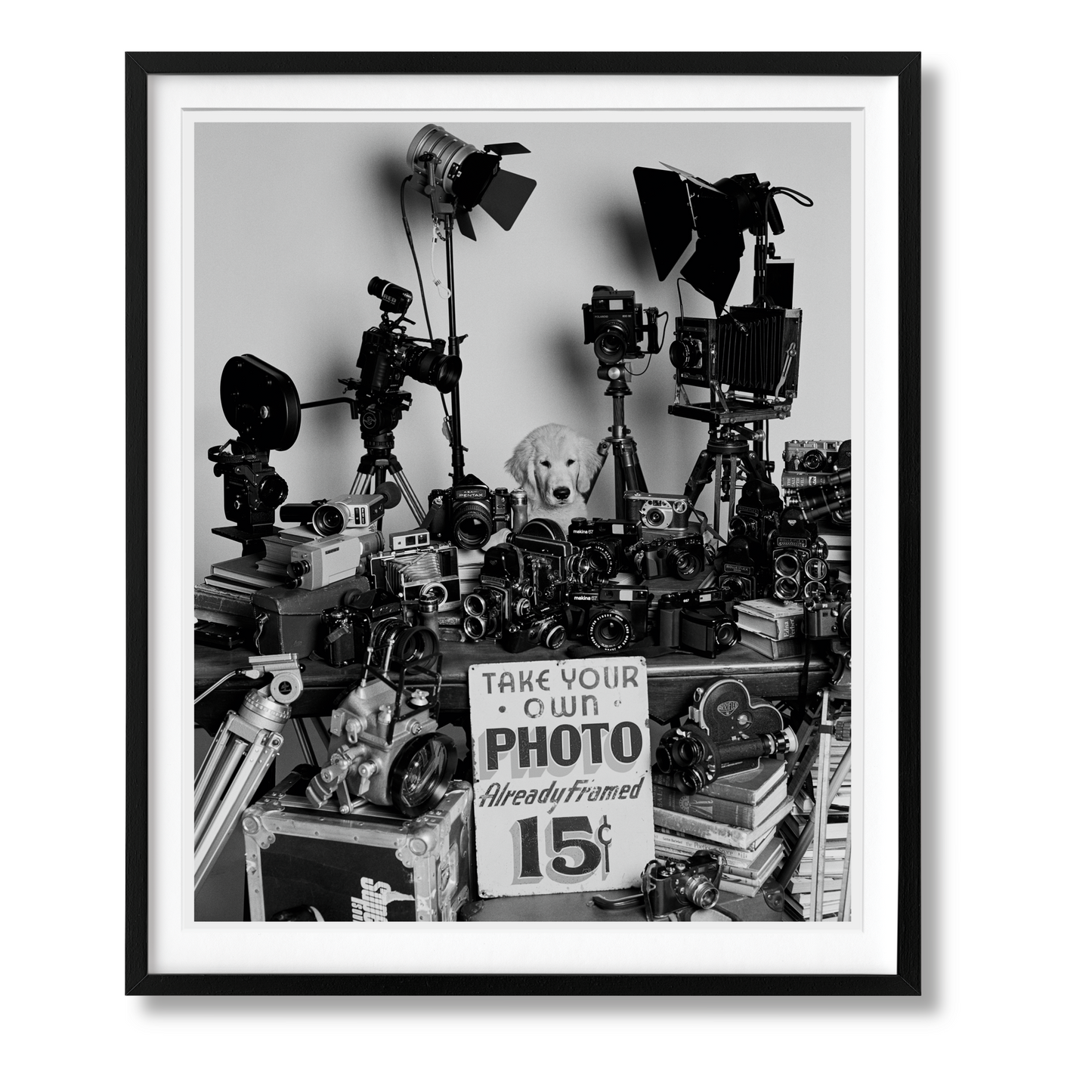 Bruce Weber. The Golden Retriever Photographic Society. Art Edition No. 101–200 ‘Hud, New York City, 2011’ (German, French, English) (AP)