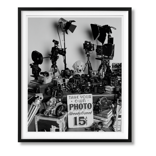 Bruce Weber. The Golden Retriever Photographic Society. Art Edition No. 101–200 ‘Hud, New York City, 2011’ (German, French, English)
