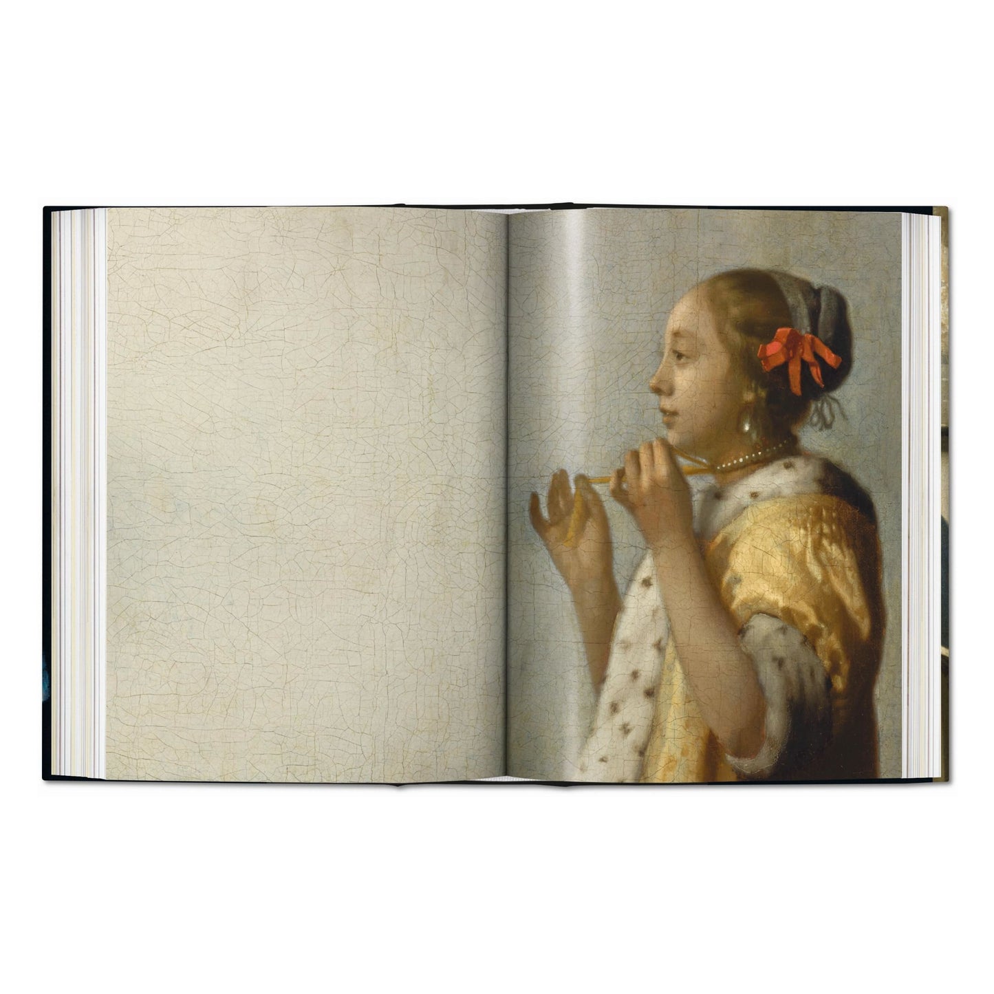 Vermeer. Das vollständige Werk. 45th Ed. (German)