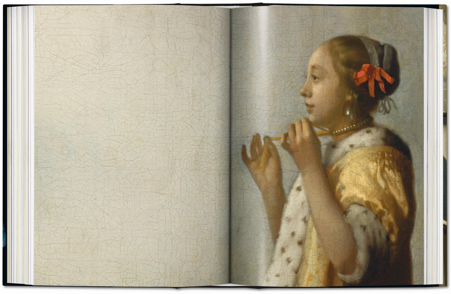 Vermeer. L'opera completa. 45th Ed. (Italian)
