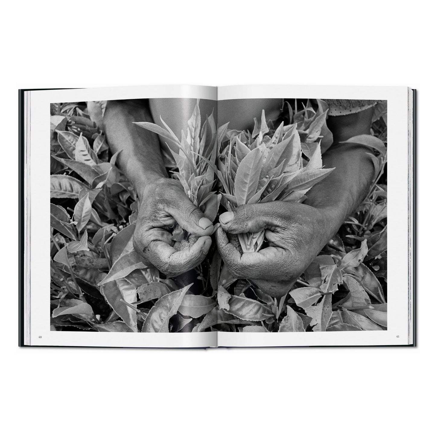 Sebastião Salgado. La main de l'homme. Une archéologie de l'ère industrielle (French)