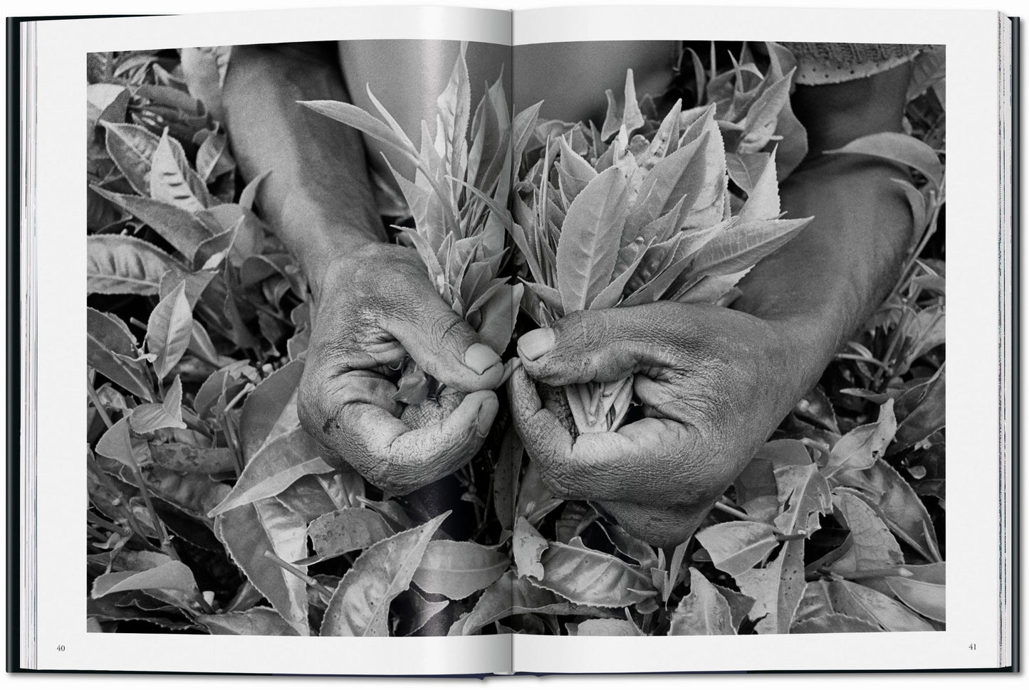 Sebastião Salgado. Arbeiter. Zur Archäologie des Industriezeitalters (German)