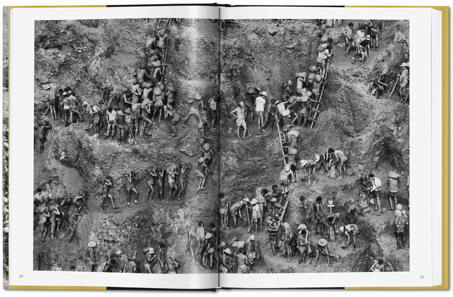 Sebastião Salgado. Gold (German, French, English)