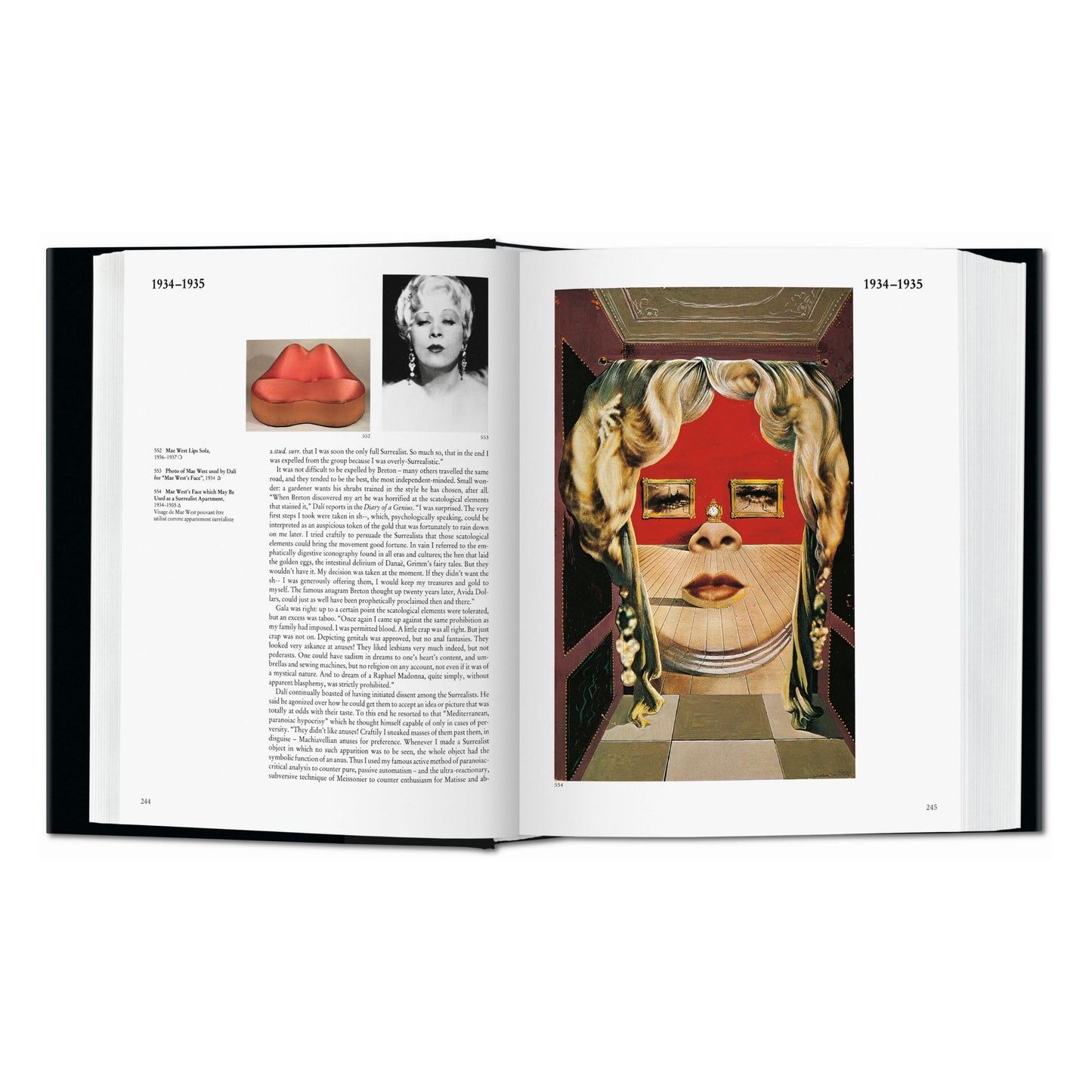 Dalí. L'œuvre peint (French)
