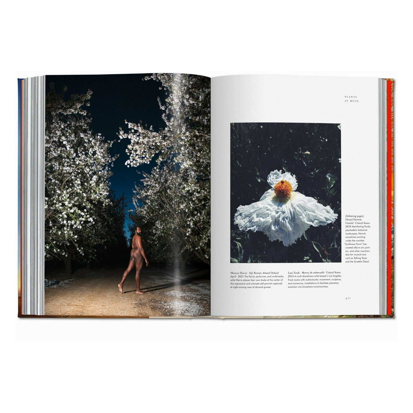 La magia de las plantas. La Biblioteca de Esoterismo (Spanish)