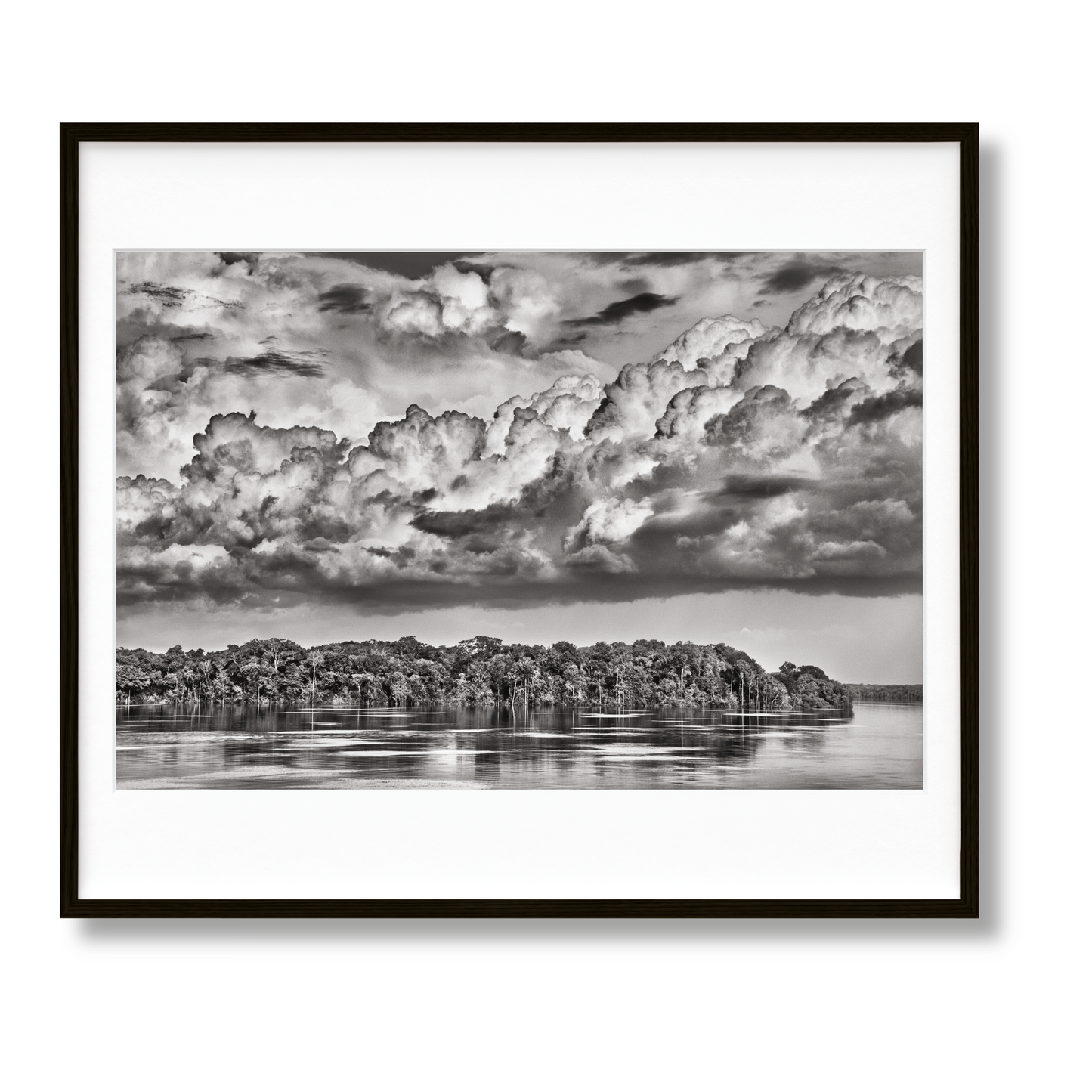 Sebastião Salgado. Amazônia. Art D (English) (AP)