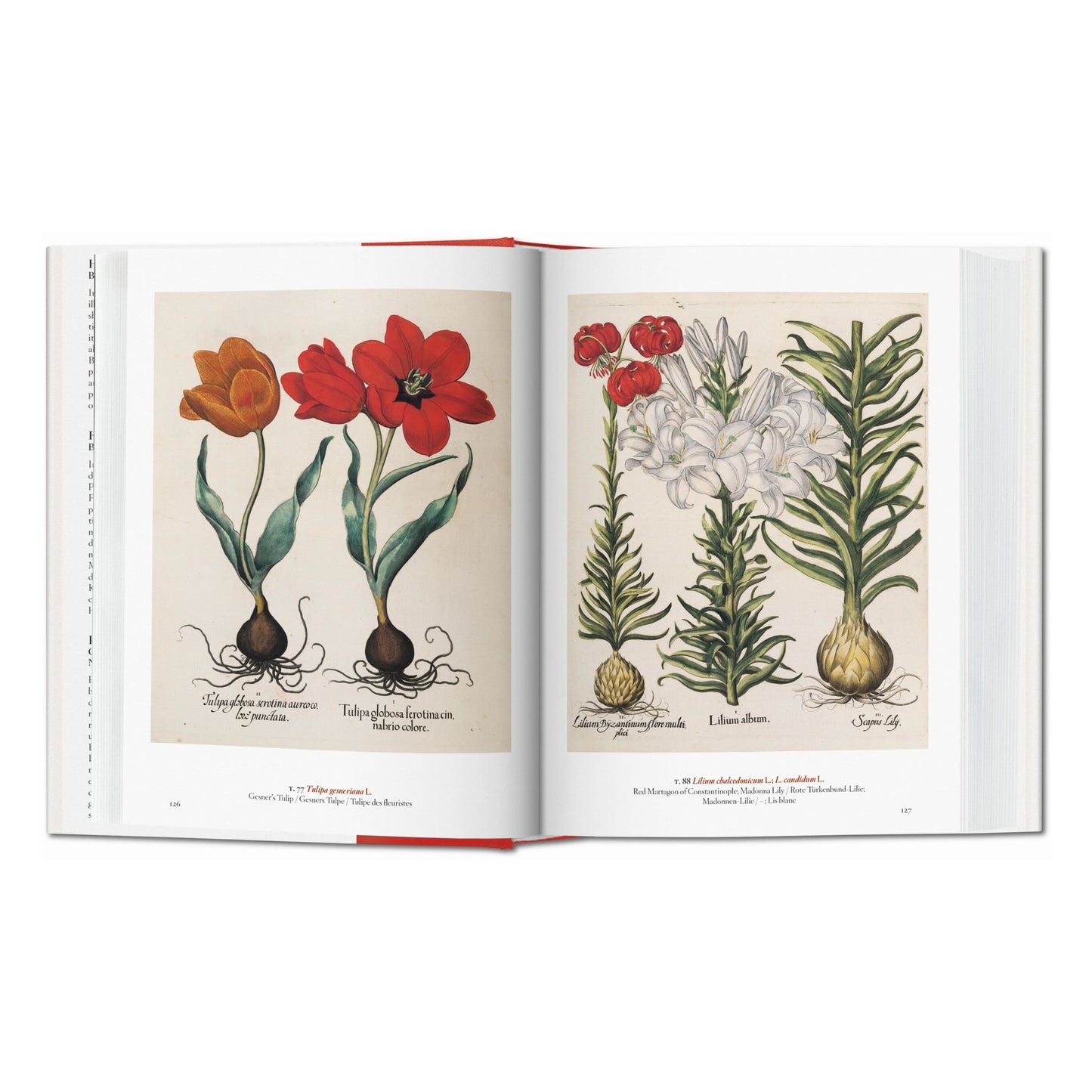 A Garden Eden. Masterpieces of Botanical Illustration. 45th Ed. (German, French, English)