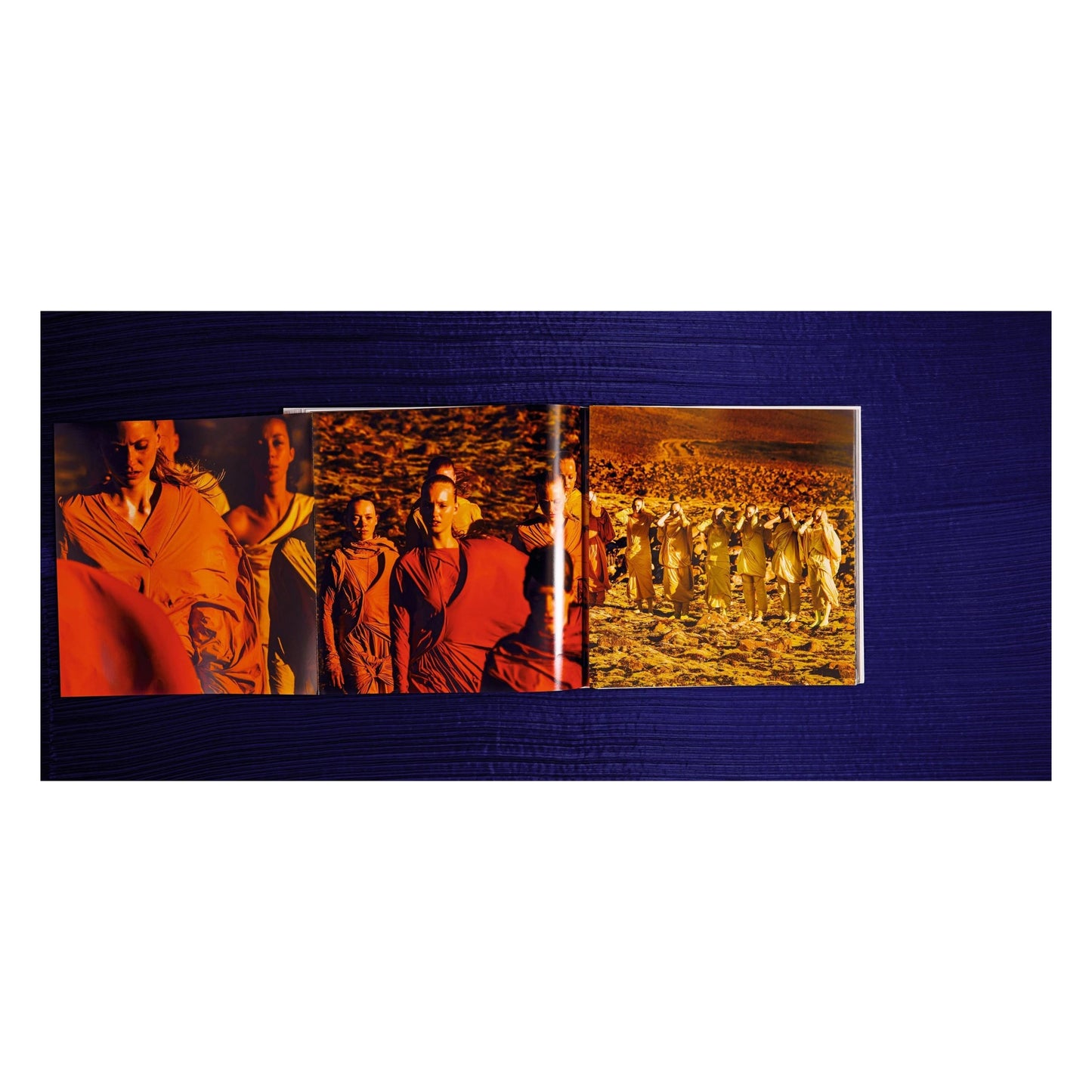 Issey Miyake (English, Japanese)