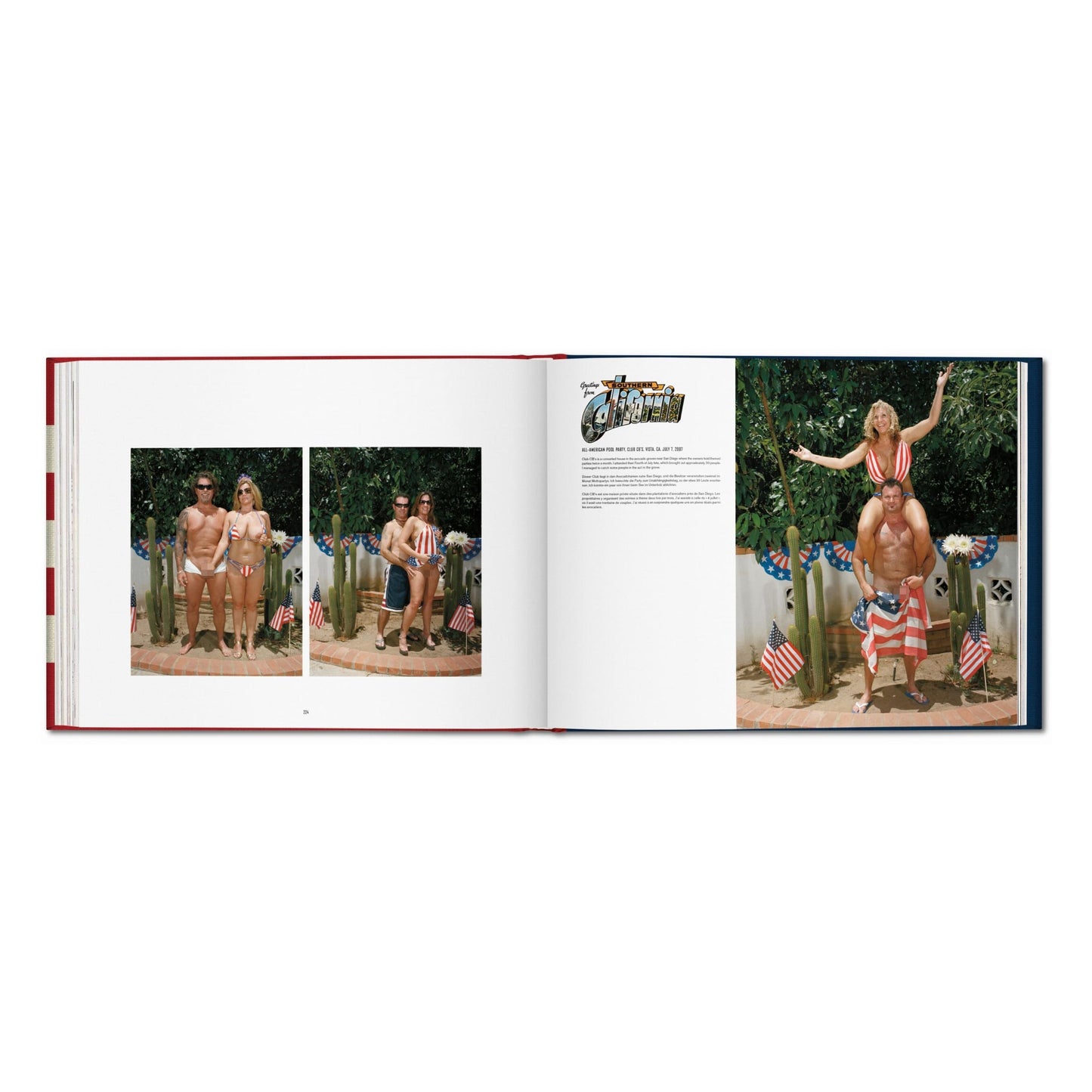 Naomi Harris. America Swings, Art Edition No. 51–100 ‘Barbecue’ (German, French, English) (SA)