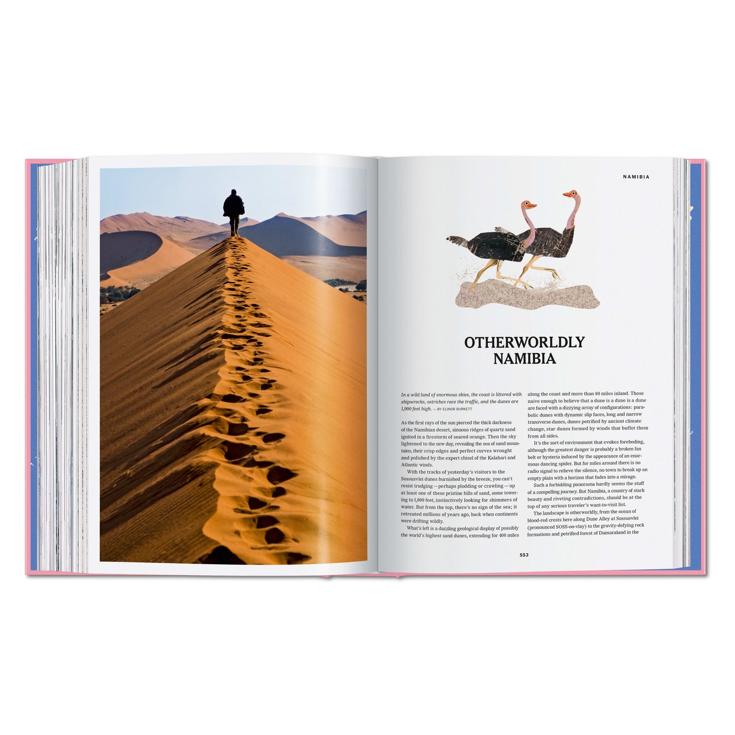 The New York Times Explorer. 100 Voyages de rêve autour du monde (French)