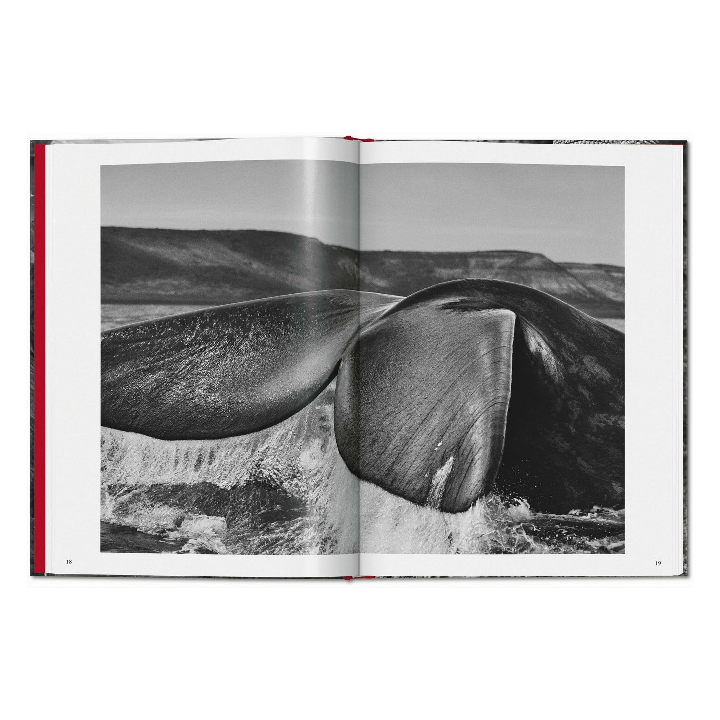 Sebastião Salgado. Gênesis (Portuguese)