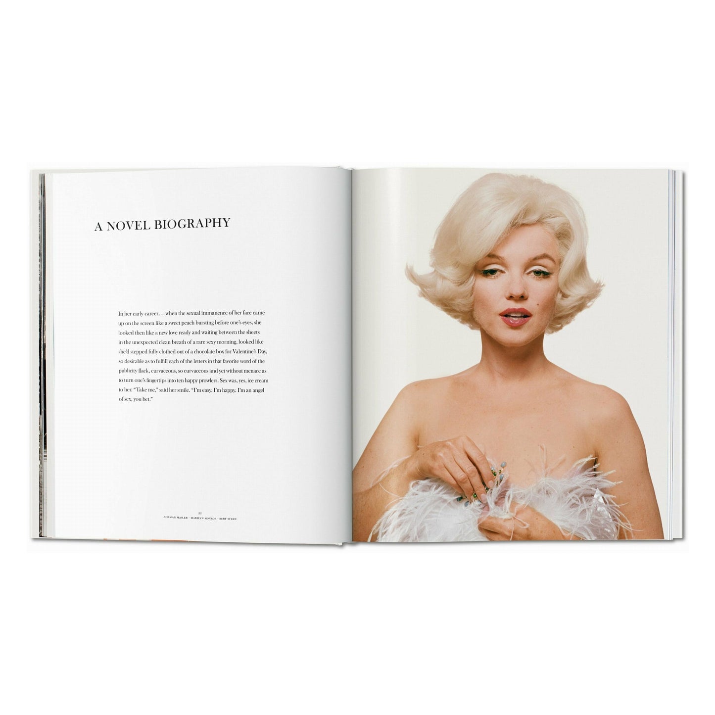 Norman Mailer. Bert Stern. Marilyn Monroe (English)