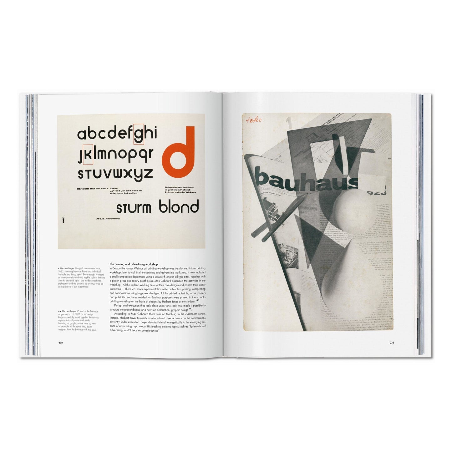 Bauhaus. Updated Edition (English)
