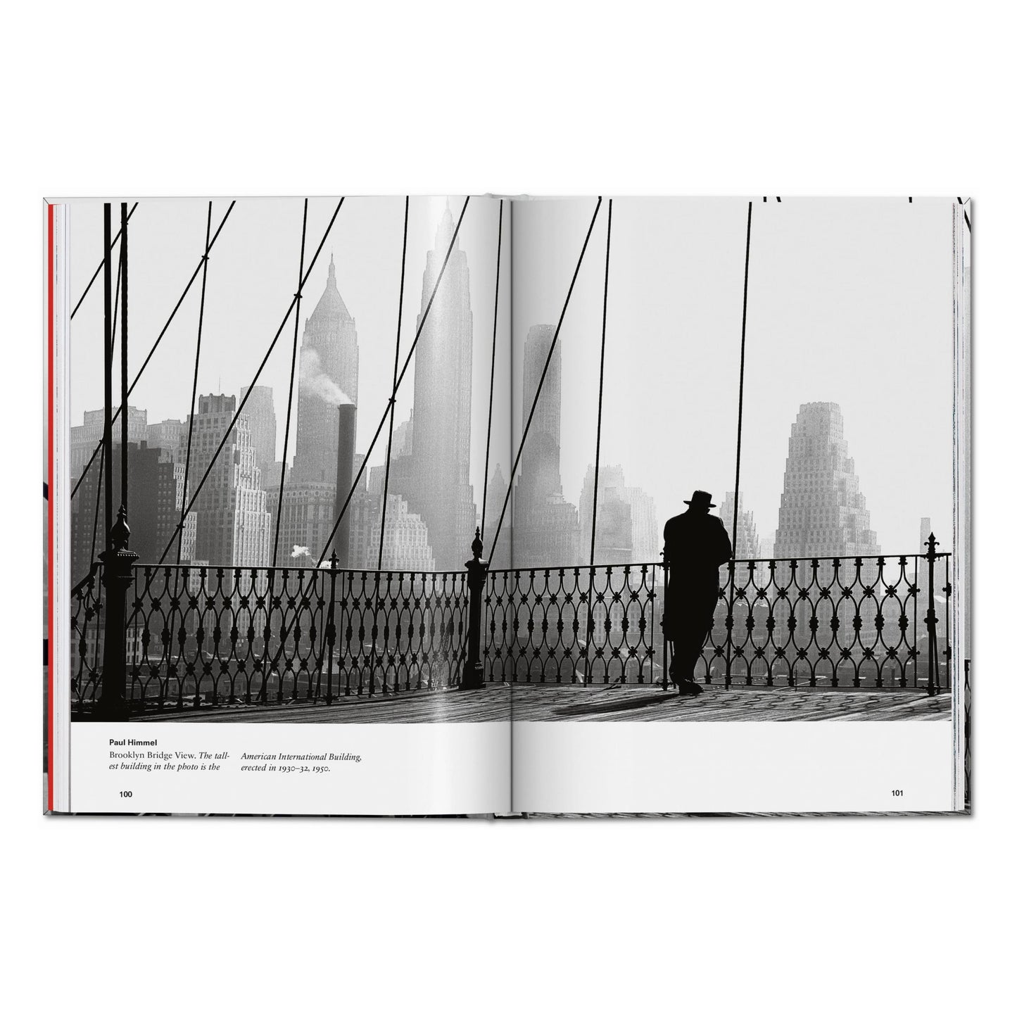 New York. Portrait of a City (English)