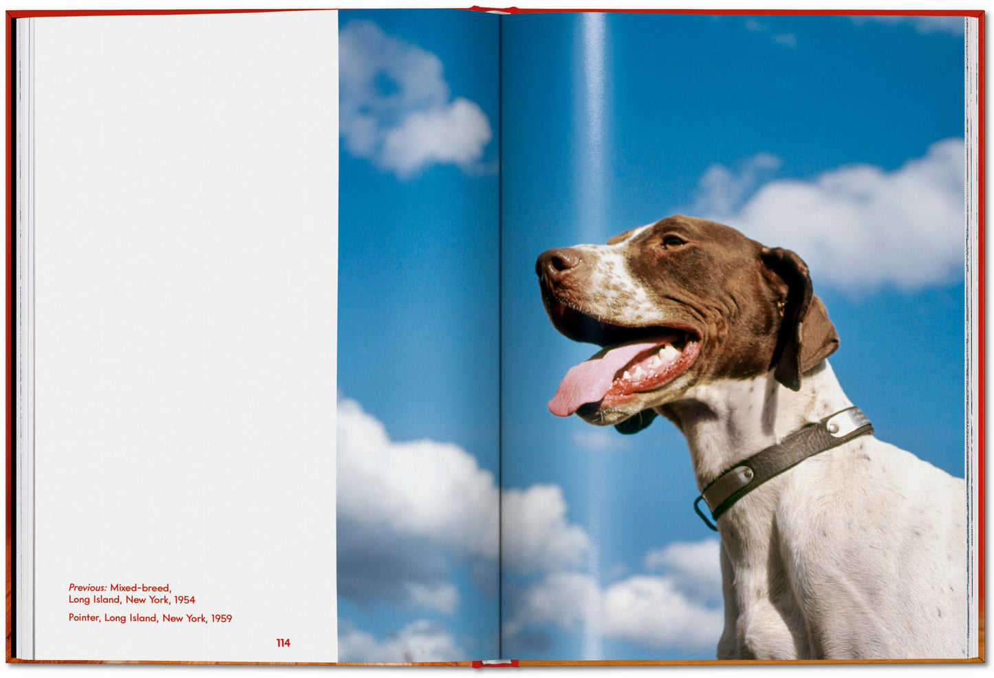 Walter Chandoha. Dogs. Photographs 1941–1991 (English)
