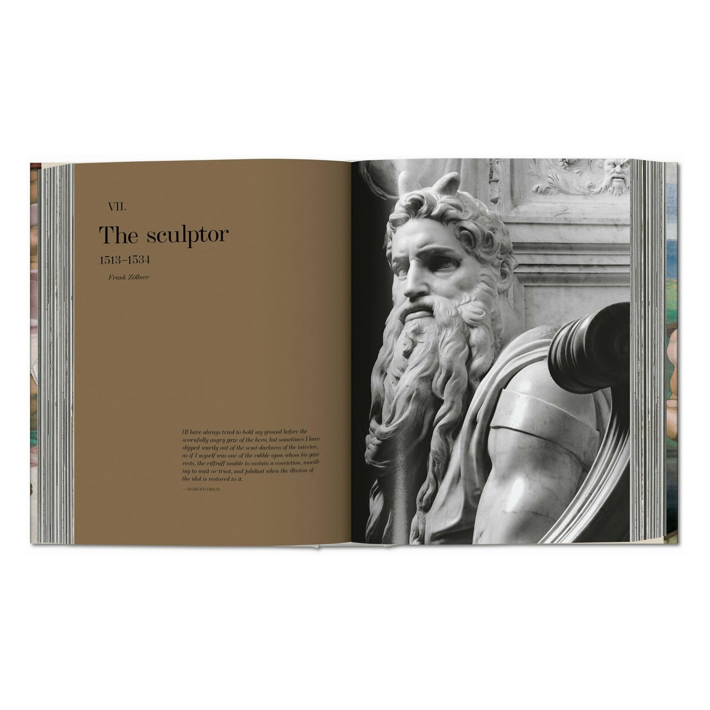 Michelangelo. Das vollständige Werk. Malerei, Skulptur, Architektur (German)