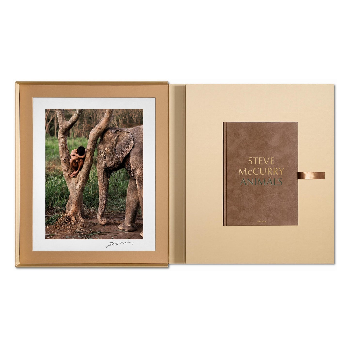 McCurry, Animals, Art A, Chiang Mai (German, French, English) (SA)