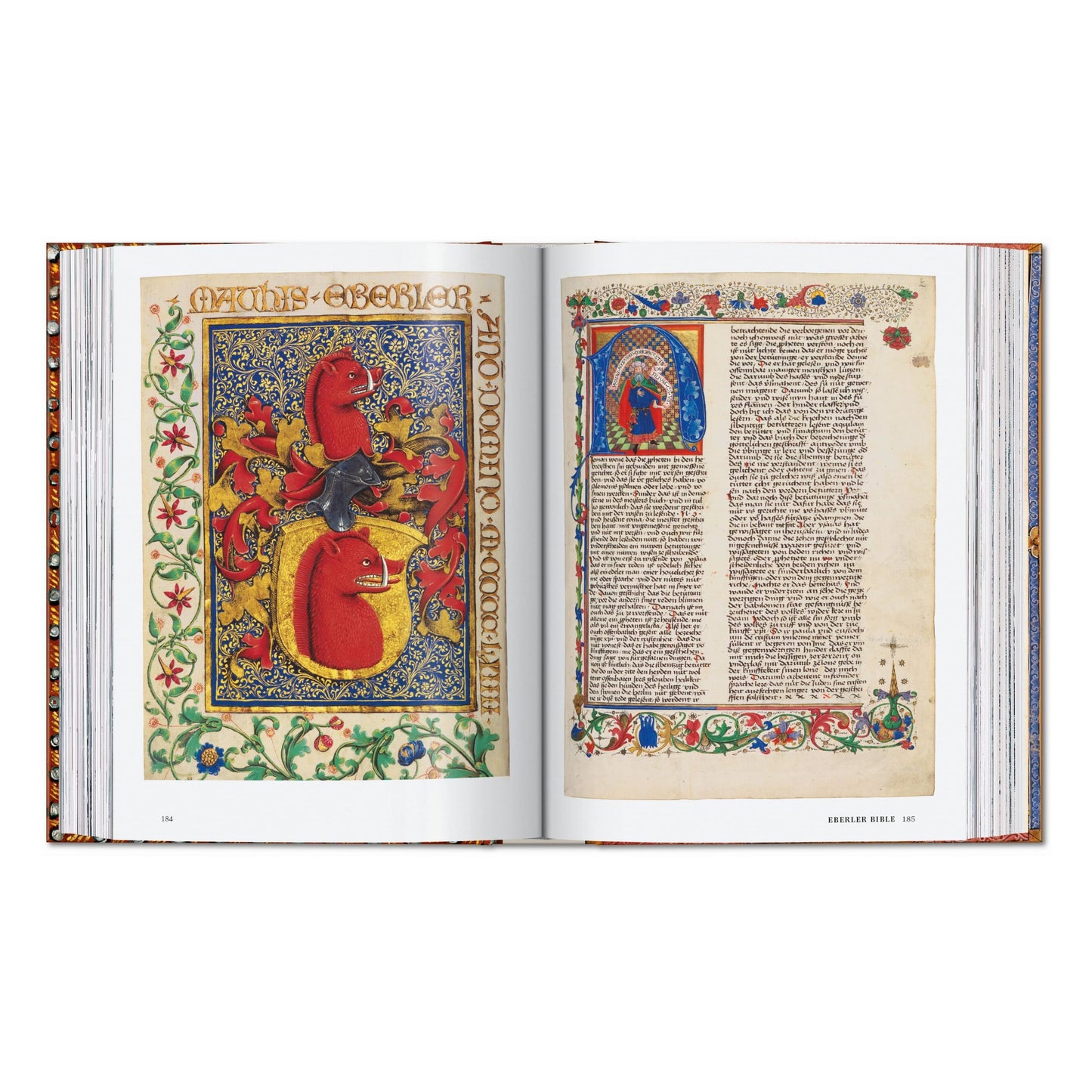 El libro de las biblias. 45th Ed. (Spanish)