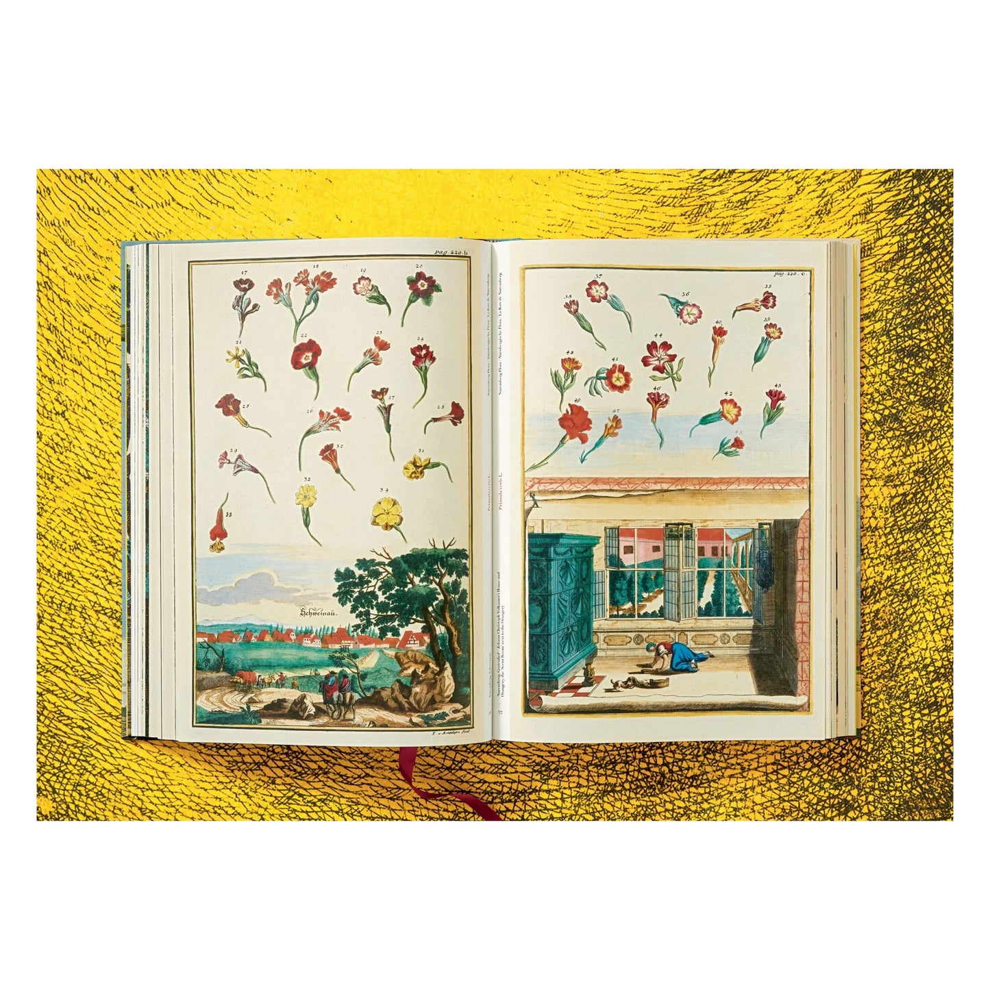 J. C. Volkamer. The Book of Citrus Fruits (German, French, English)