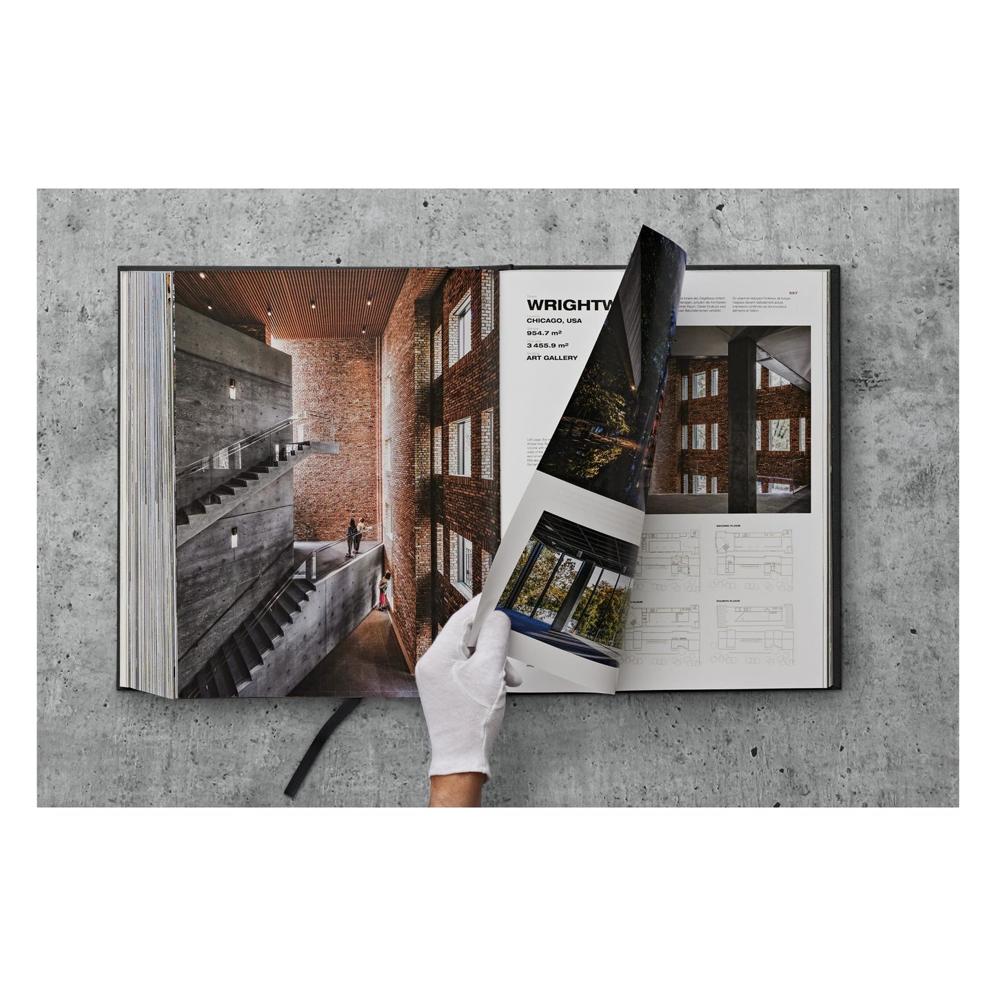 Ando. Complete Works 1975–Today. 2023 Edition (German, French, English)