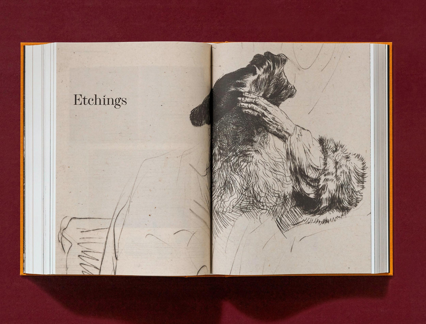 Rembrandt. Alle tekeningen en etsen (Dutch)