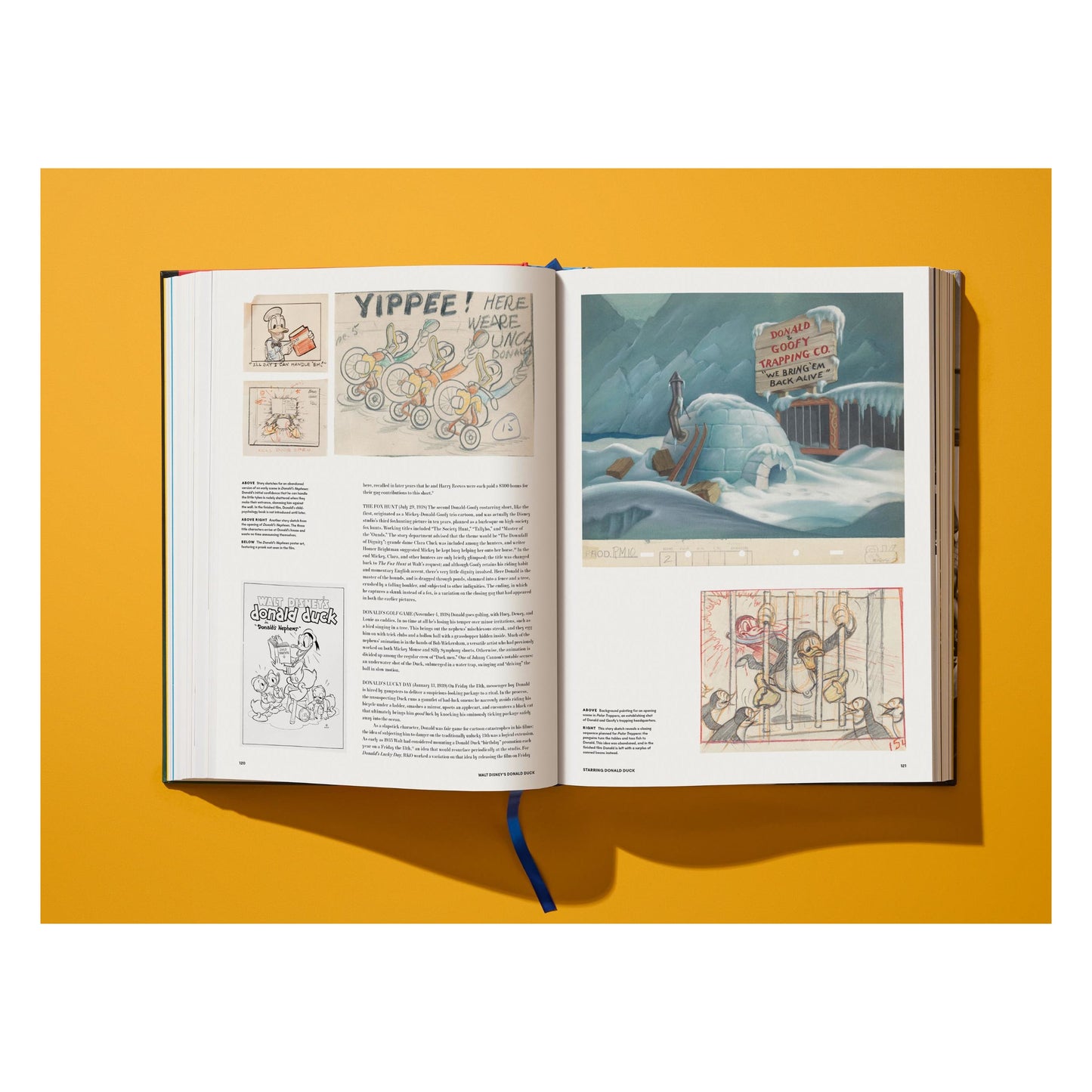 Walt Disney's Donald Duck. Toute l'histoire (French)