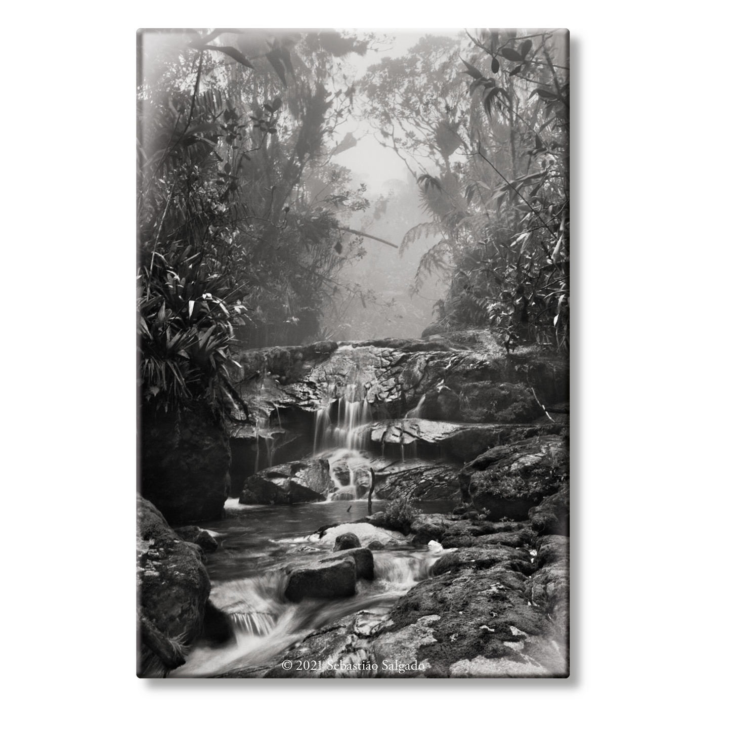 Salgado. Amazônia. Magnet ‘Creek’