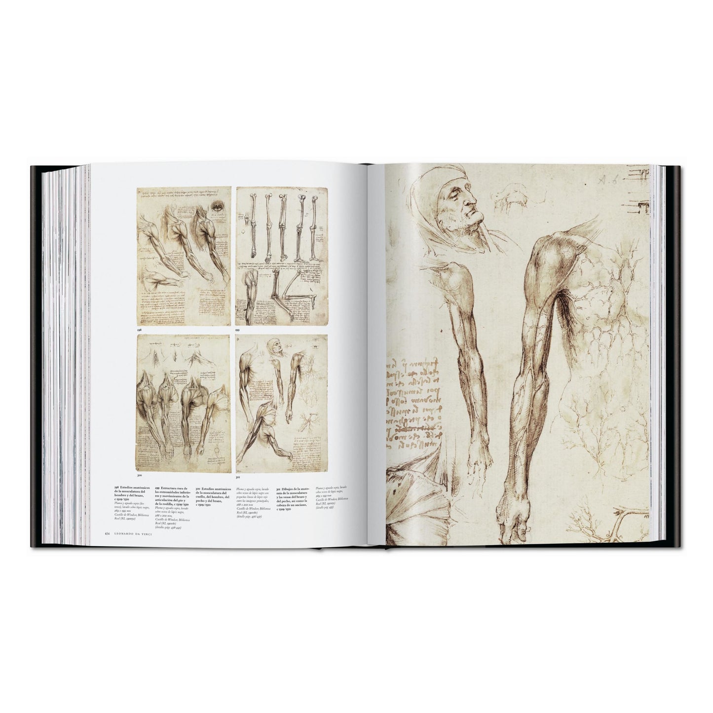 Leonardo. Obra pictórica completa y obra gráfica (Spanish)