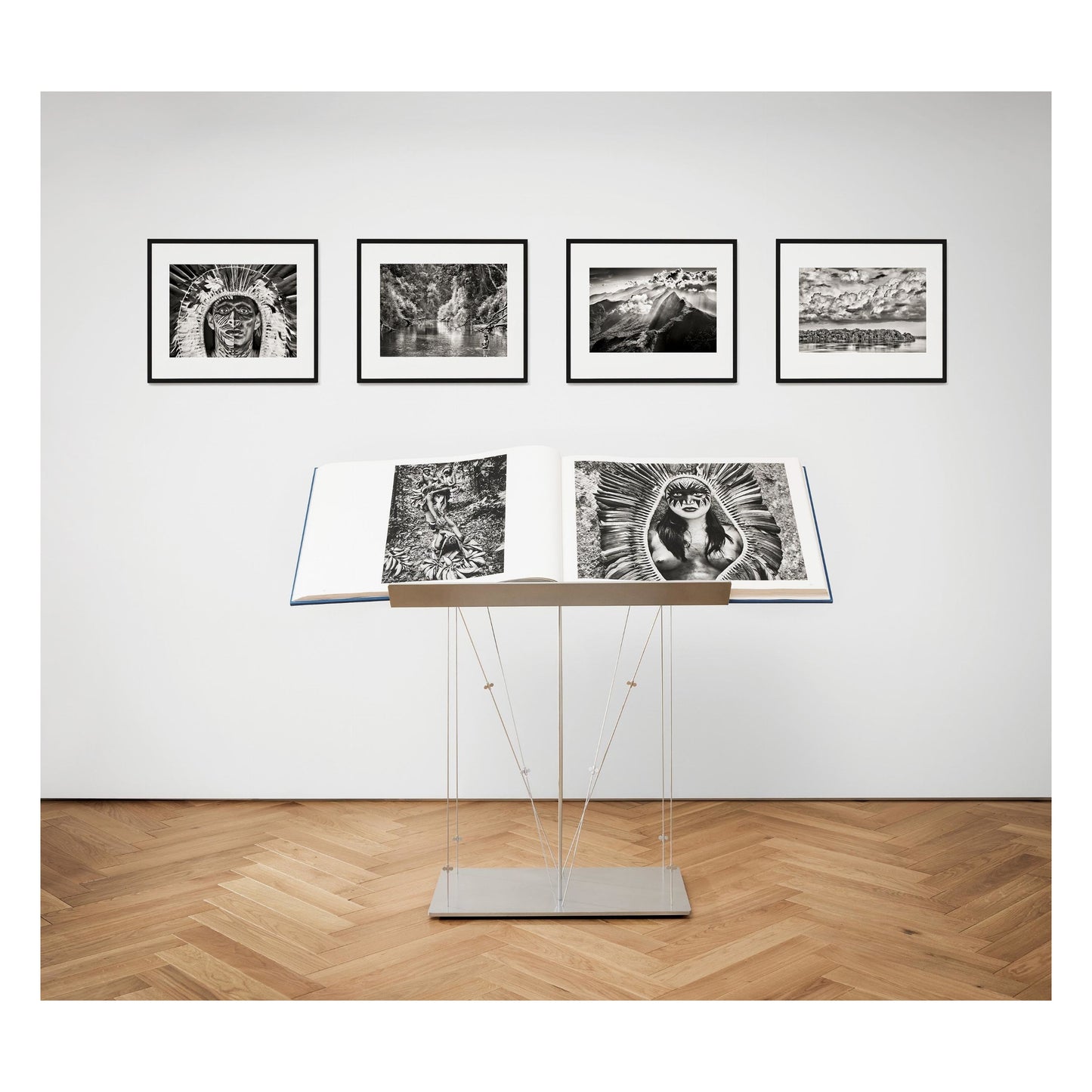 Sebastião Salgado. Amazônia. Art A (English) (AP)