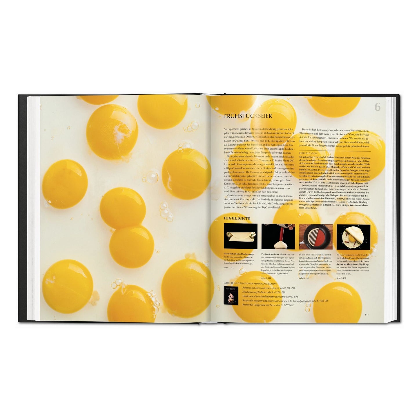 Modernist Cuisine at Home (German)