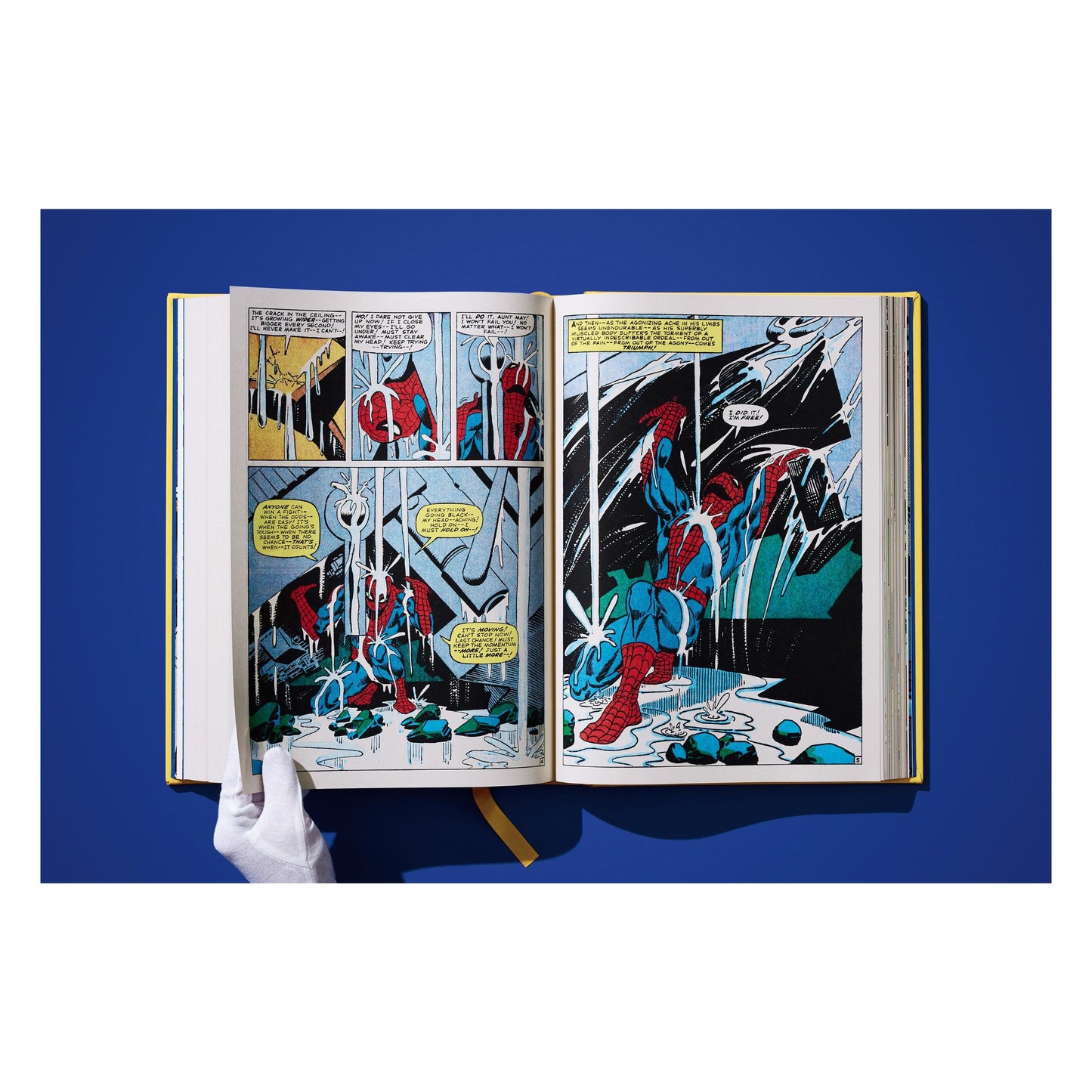 Marvel Comics Library. Spider-Man. Vol. 2. 1965–1966 (English)