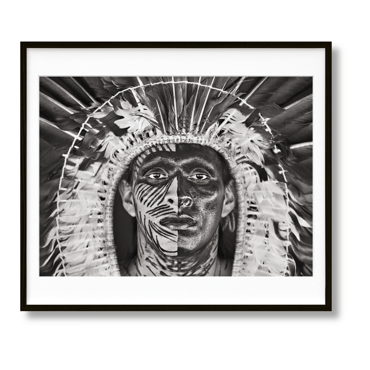 Sebastião Salgado. Amazônia. Art A (English) (AP)