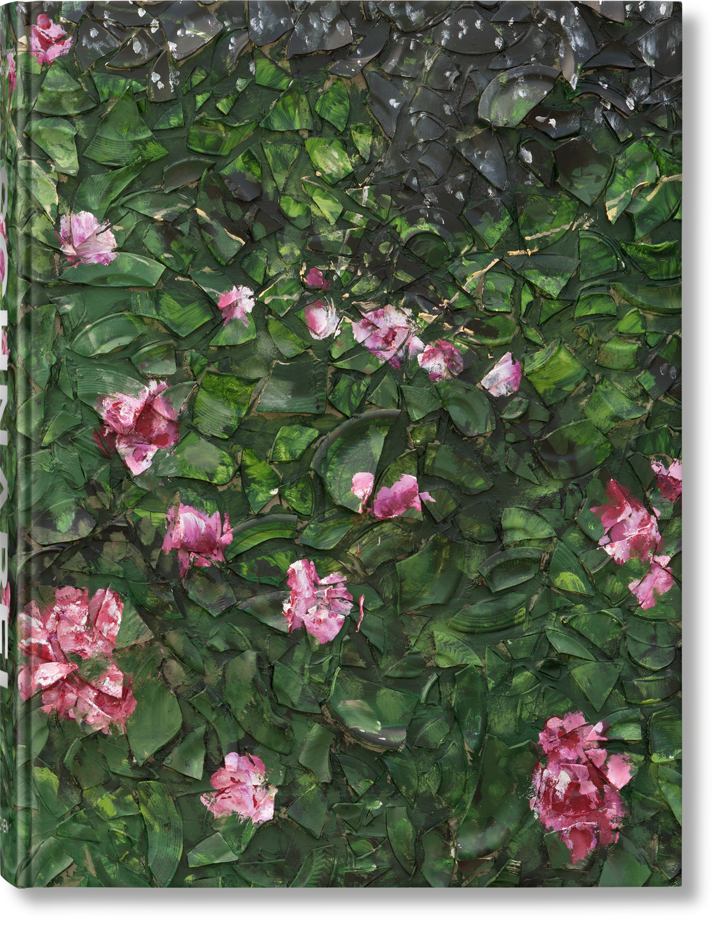 Julian Schnabel (German, French, English)