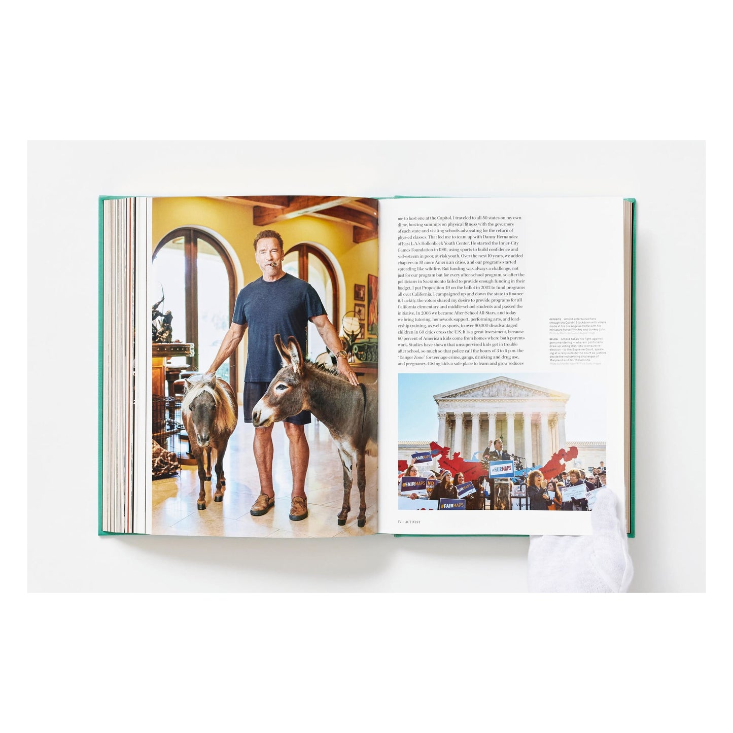ARNOLD. Capitello Edition (English)
