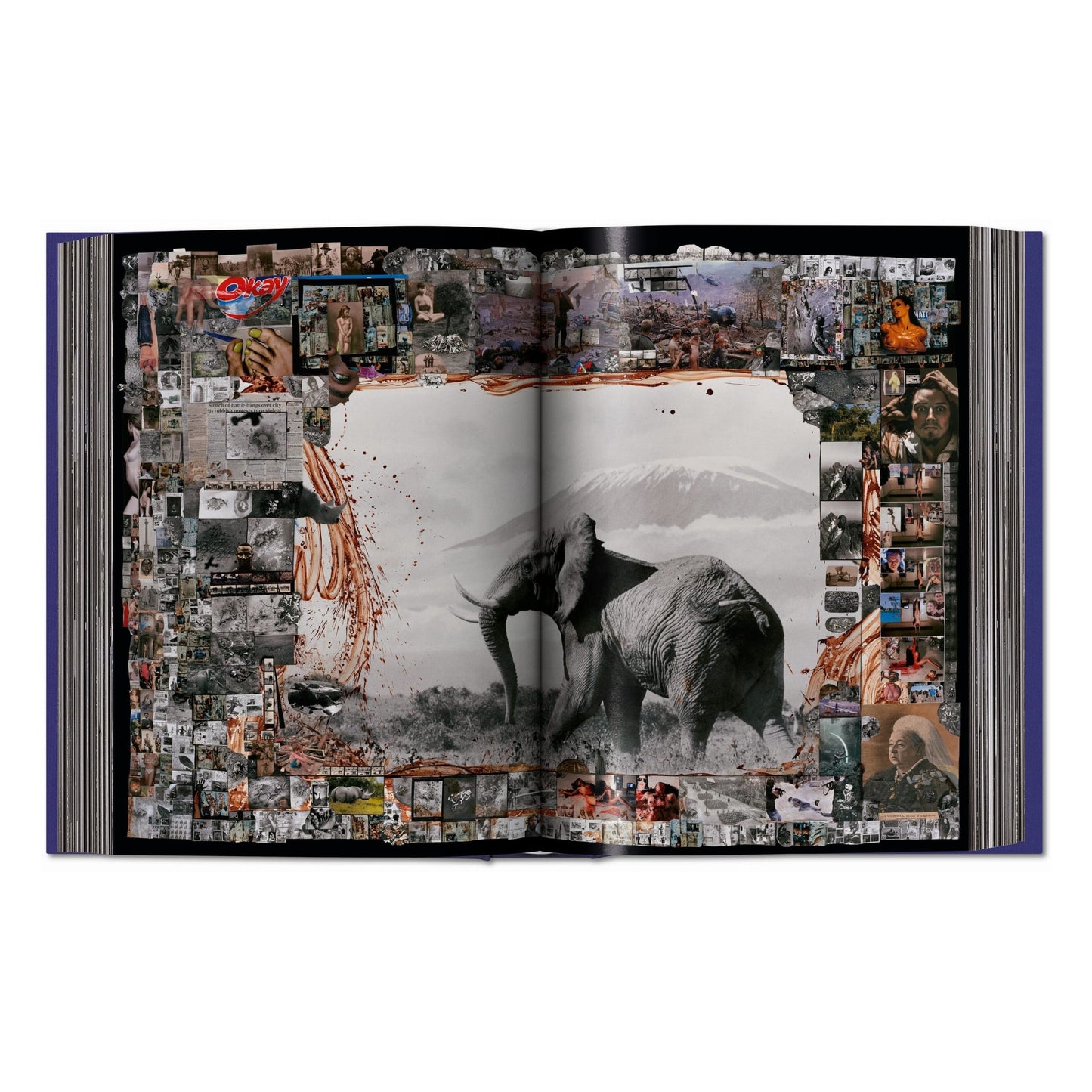 Peter Beard (German, French, English)
