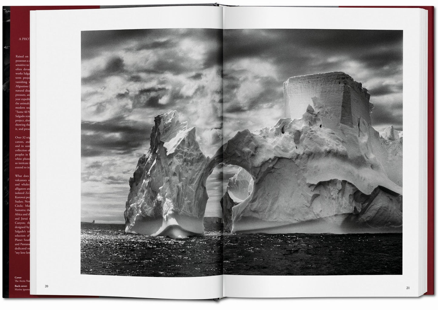 Sebastião Salgado. Génesis (Spanish)