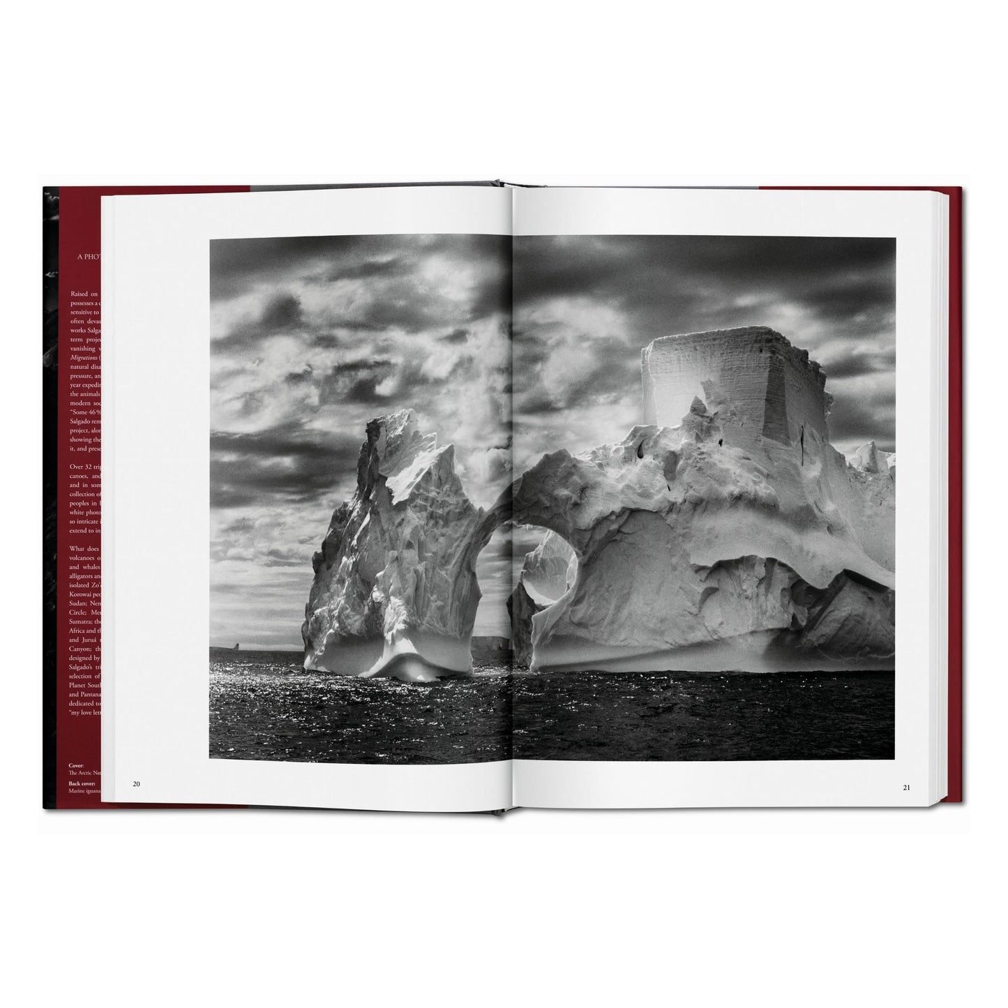 Sebastião Salgado. Genesi (Italian)