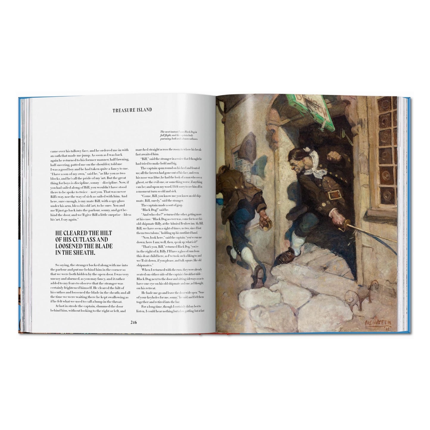 Histoires de Pirates (French)