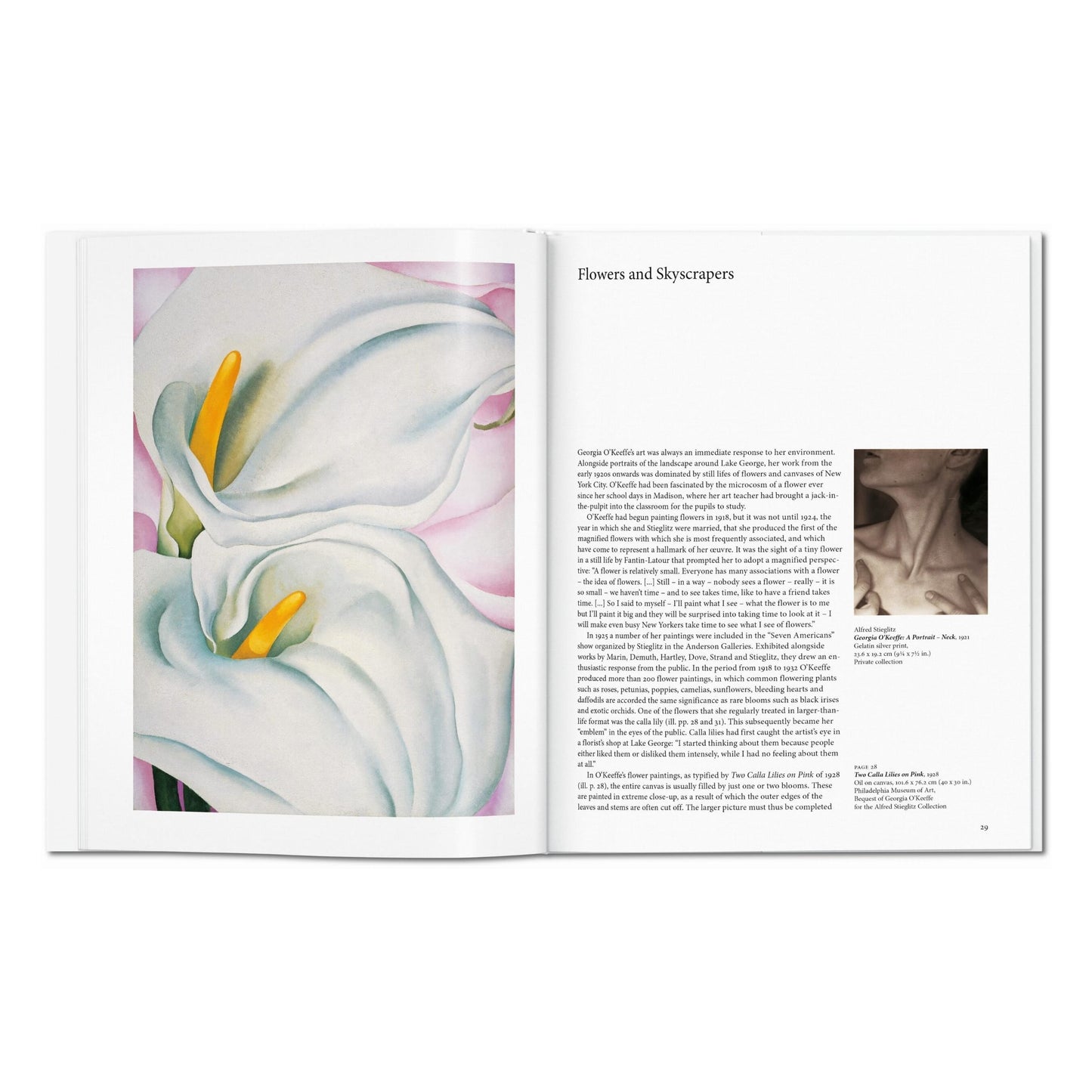 O'Keeffe (French)
