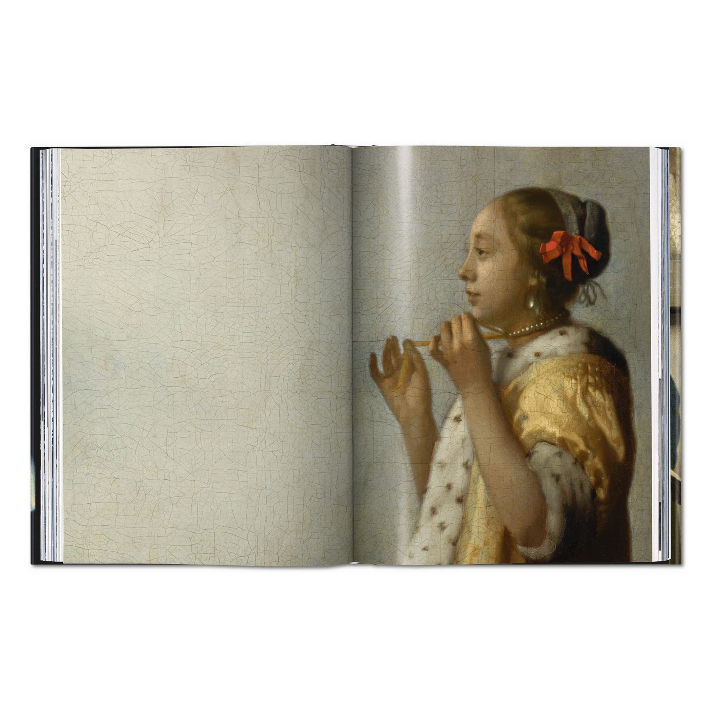 Vermeer. Das vollständige Werk (German)