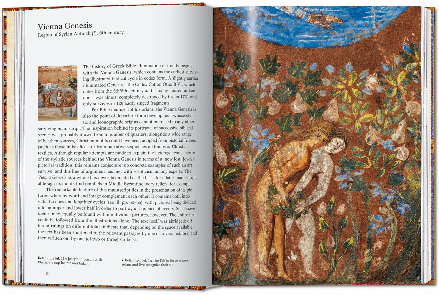 The Book of Bibles. 45th Ed. (English)