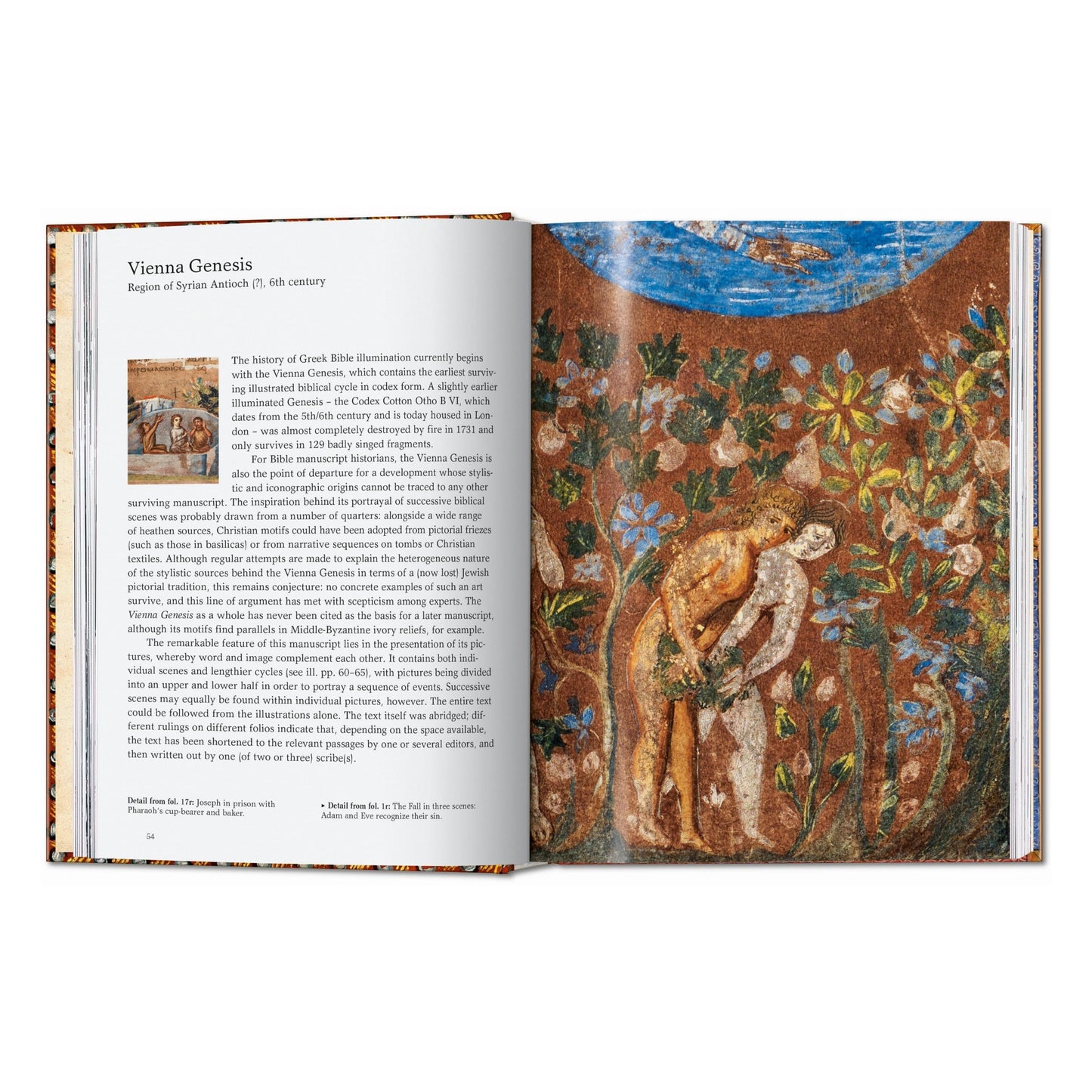 El libro de las biblias. 45th Ed. (Spanish)